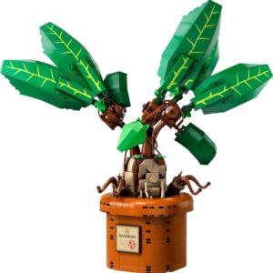 Konstruktorius LEGO® Harry Potter Mandragora 76433 - Image 3