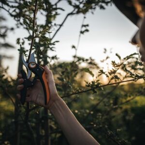 Sekatorius prasilenkiančiais ašmenimis Power-Lever™ P721 - Image 3