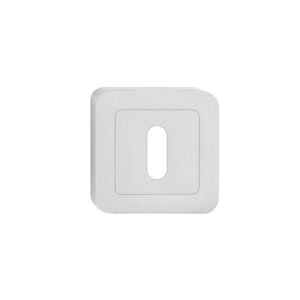 APYRAKTĖ DURŲ RAKTUI MATINIS NIKELIS