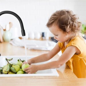 Virtuvinis maišytuvas Invena Joga plus BZ-32-P04-C, juodas - Image 3