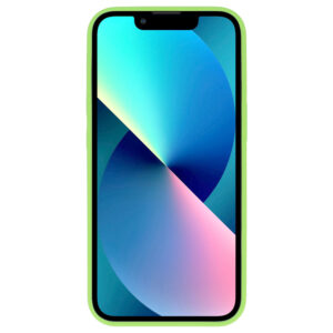 Tel Protect Leather Luxury Stand dėklas skirtas Apple iPhone 11 Pro mėtų spalvos - Image 3
