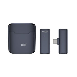 Belaidis Microphone Type 1 Typ C - Image 3