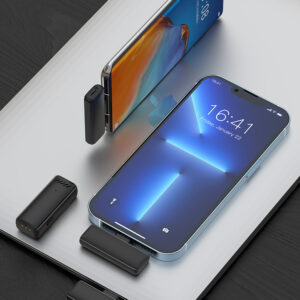 Belaidis Microphone Type 1 Typ C - Image 5