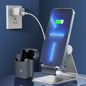 Belaidis Microphone Type 1 Typ C - Image 6