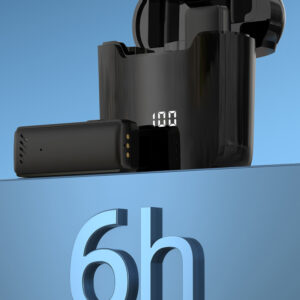 Belaidis Microphone Type 1 Typ C - Image 7