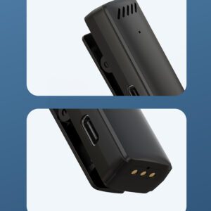 Belaidis Microphone Type 1 Typ C - Image 8