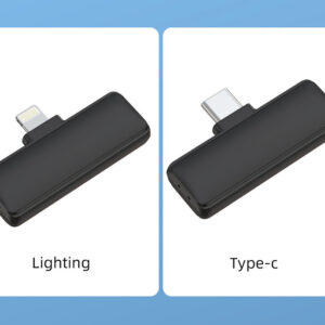 Belaidis Microphone Type 1 Typ C - Image 9