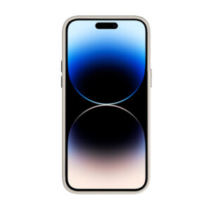 Tel Protect Magnetic Clear dėklas skirtas Apple iPhone 12 Pro Max Titanium - Image 3