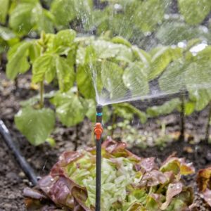 Laistymo įranga Gardena Micro Drip System Spray Nozzle - Image 3