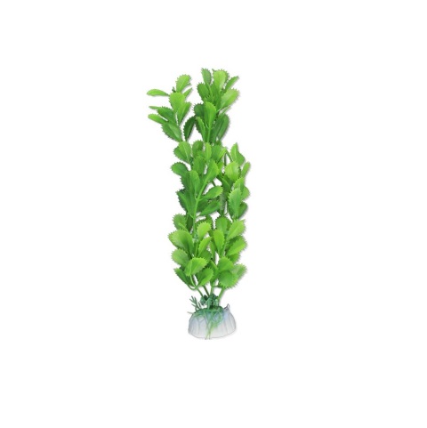 roslina-blister-20cm-2b38-happet