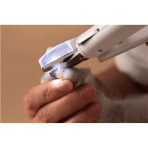 PetKit claw clippers with LED light PRO - Image 15