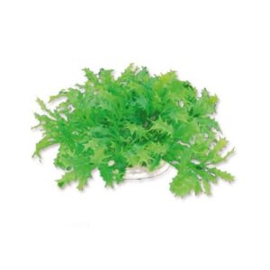 Dirbtinis augalas 10cm