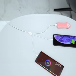 USB kabelis - USB C / micro USB / Lightning 480Mb/s 6A 1.2m - baltos spalvos - Image 4