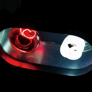 Repti Planet dvigubas gaubtas 2x150W - Image 4