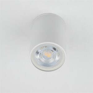 Šviestuvas lubų TK Lighting Top 5766, GU10, baltas - Image 3