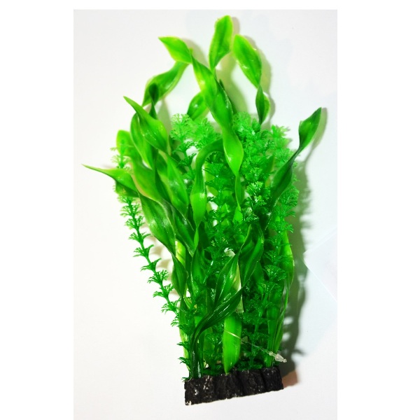 5374850091994126994_1_999_dystrybucja_-1332048825