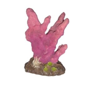 Koralas 10cm - Image 1