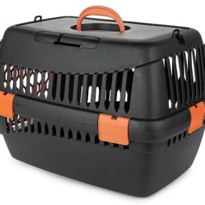 Transportavimo boksas Teddy M Oranžinis - Image 3