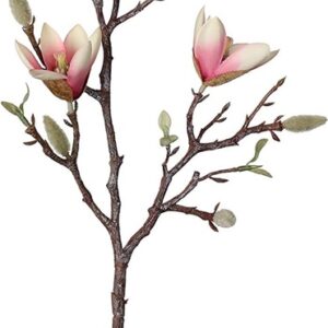 Dirbtinė gėlė, magnolija Splendid Magnolia, 59 cm