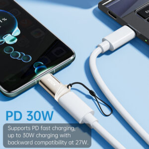 Rock Adapteris L12 - Type C (female) į Lightning (male) - PD 30W titanium - Image 5