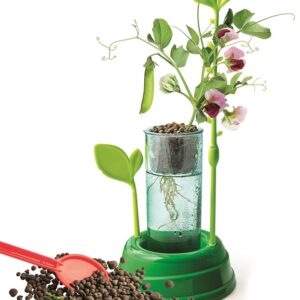 Kūrybos rinkinys Clementoni Botany 50924 - Image 2