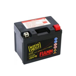 AKUMULIATORIUS FTZ8V-12B 7AH 110A