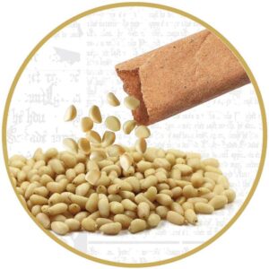 Kūrybos rinkinys Harry Potter Hagrids Hut Terrarium - Image 3