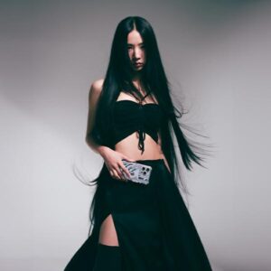 Skinarma dėklas Ekho Apple iPhone 16 Pro Max 6.9" Magnetic Charging skaidrus - Image 6