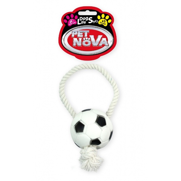 CREATOR: gd-jpeg v1.0 (using IJG JPEG v62), quality = 95