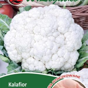 Sėklos apvalkale Žiediniai Kopūstai Kalafior Igloo