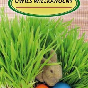 Velykinės avižos