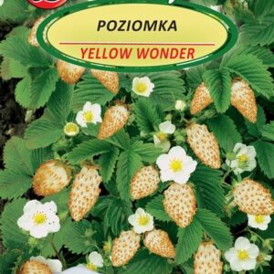 Žemuogių YELLOW WONDER sėklos