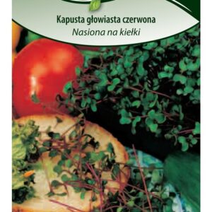 Sėklos daiginimui - raudongūžiai kopūstai
