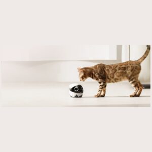 Enabot ROLA Mini robotas kompanjonas - Image 4