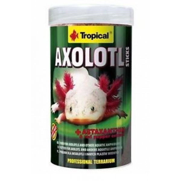 axolotl-600x600-1