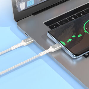 Blavec Kabelis Raptor pintas - Typ C į Typ C - PD 100W 5A 1 m Apple CarPlay/Android Auto (CRA-CC5WS10) baltos ir sidabro spalvos - Image 3