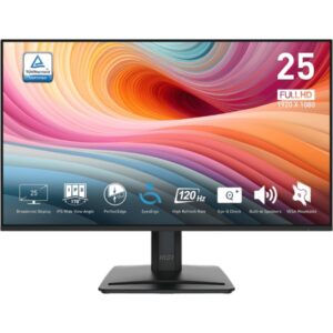 Monitorius MSI PRO MP251 E2 / 24.5" / FHD / IPS / 120Hz / 1ms (MPRT) / juodos spalvos