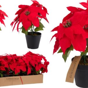 Dirbtinė gėlė, puansetija, 30 cm - Image 2