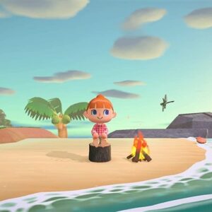 Nintendo Switch žaidimas Animal Crossing: New Horizons - Image 2