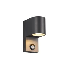 Šviestuvas Trio ROYA 214260142, 35W, GU10, IP44, antracito - Image 1