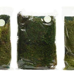Dekoratyvinės samanos, 110g