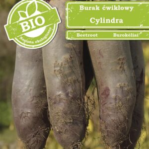 Sėklos, burokėliai Cylindra, 10 g