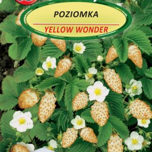 Paprastųjų žemuogių sėklos