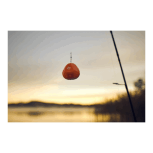 Žuvų paieškos sensorius Deeper Start - Image 11