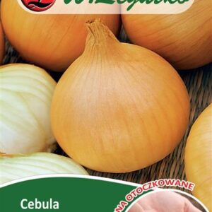 Sėklos apvalkale Svogūnai Cebula Wolska
