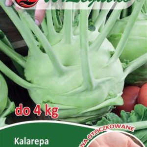 Sėklos apvalkale Ropiniai Kopūstai Kalarepa Gigant