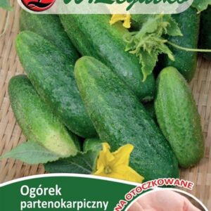 Agurkų PARTNER sėklos