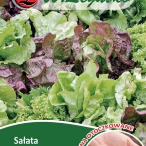 Sėklos apvalkale salotų mišinys