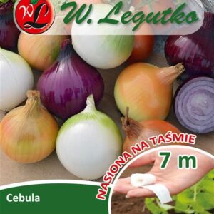 Sėklos juostoje Svogūnų mišinys