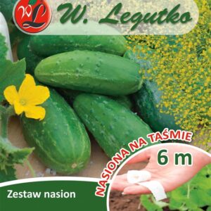 Agurkų ODYS sėklos, 6 m